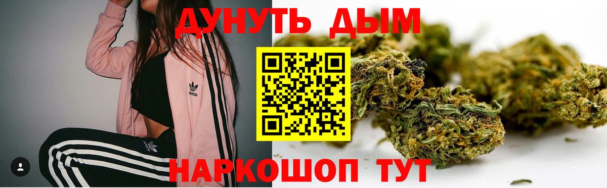 Каннабис Ganja  Конопля индика  Вход с VPN  Бошки марихуана THC 21%  Тара  Канабис план 